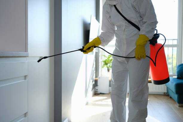 Best Professional Mold Removal  in Clinton, SC
