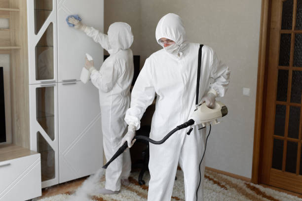 Crawl Space Mold Removal in Clinton, SC