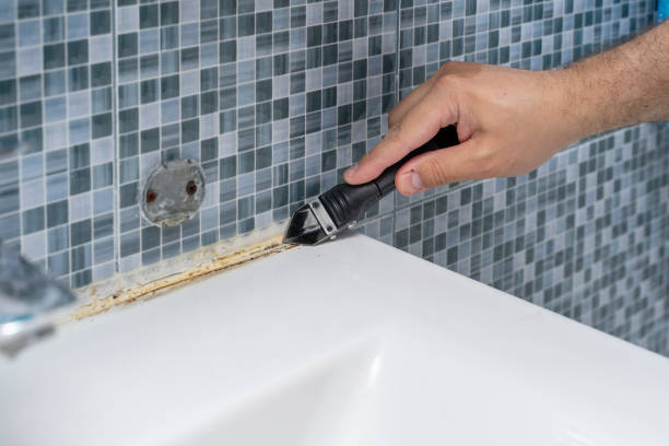 Best Local Mold Removal Service  in Clinton, SC