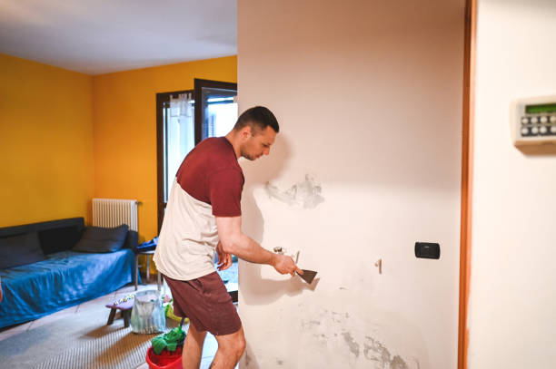 Best Home Mold Removal  in Clinton, SC